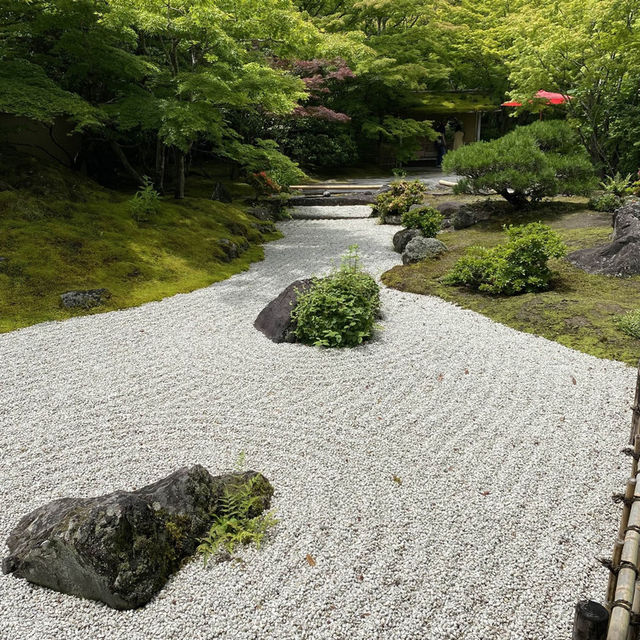 宮城松島「円通院」日本庭園が美しい