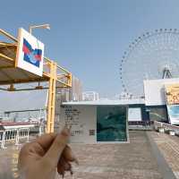 大阪🇯🇵海遊館半日遊