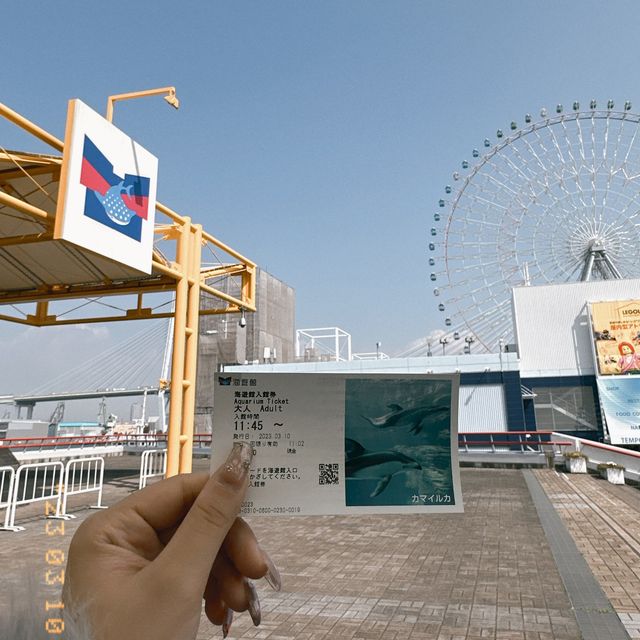 大阪🇯🇵海遊館半日遊