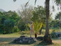 Chong Mafueng Camping  -ช่องมะเฟือง แคมป์ปิ้ง