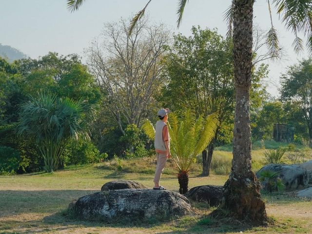 Chong Mafueng Camping  -ช่องมะเฟือง แคมป์ปิ้ง