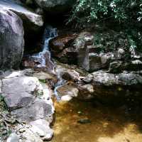 อุทยานแห่งชาติน้ำตกห้วยยาง 
