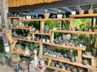 คาเฟ่Pet Friendly อยู่ที่ท่ากระดาน จ.กาญจนบุรี 