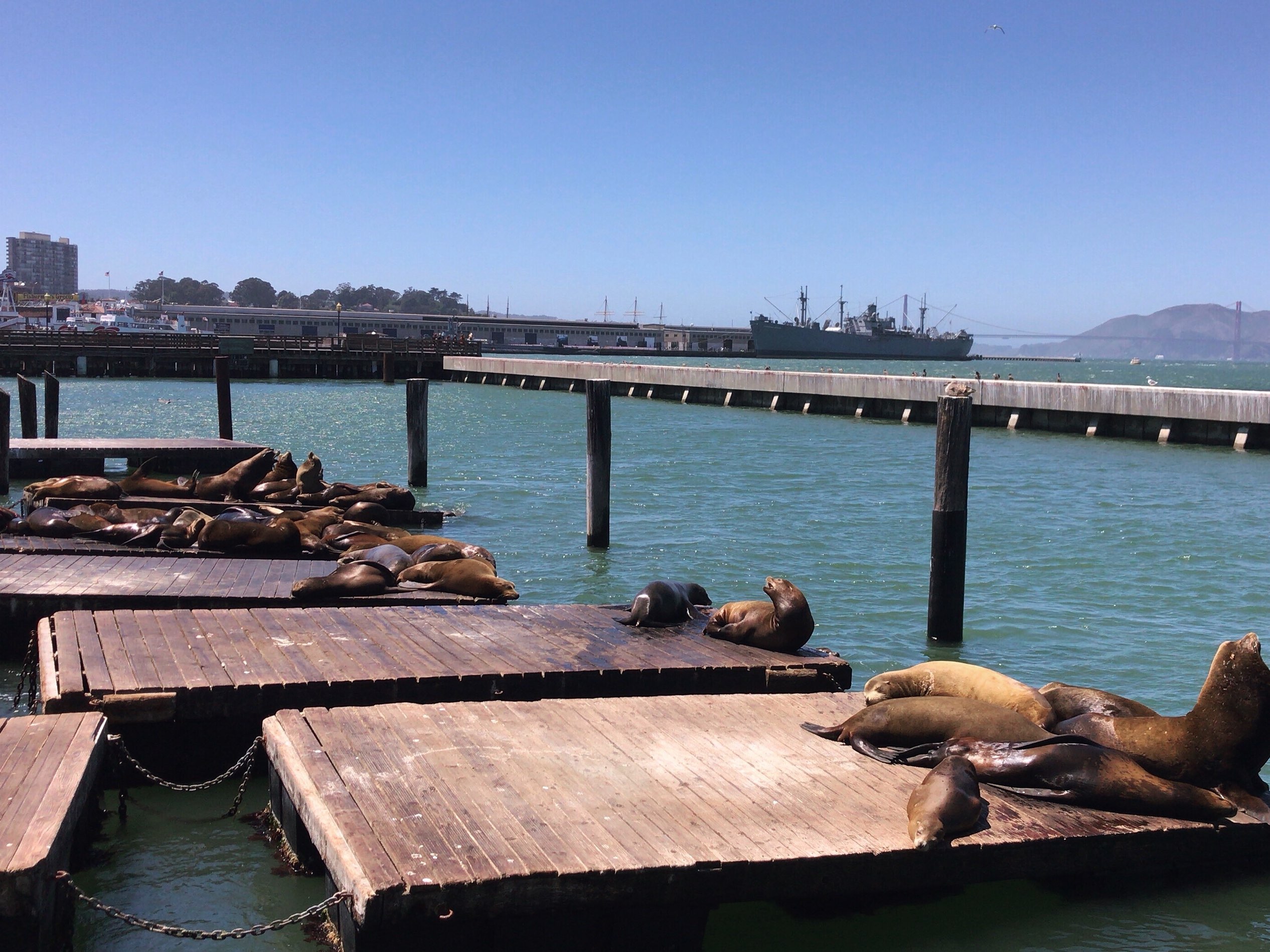 San Francisco, Pier 39, Fisherman`s Wharf - the Banner of Hard