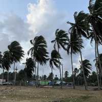 ชายหาดบ้านทอน แหล่งผลิตเรือกอและแห่งเดียวในจังหวัด