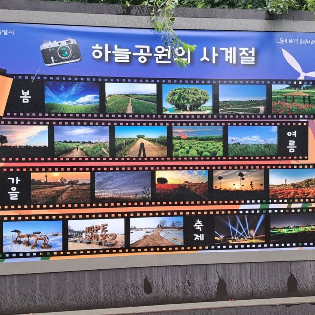 韓國景點📸天空公園🥰親親大自然⭐打卡熱點😍