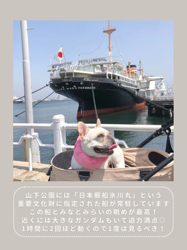 【横浜】わんこと行けるスポット6選🎡
