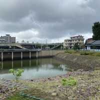 中原埤塘生態公園 🦆