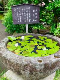 【神奈川県/極楽寺】風情ある山門に導かれる寺院