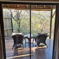 A Safari Staycation At Pilanesburg Safari