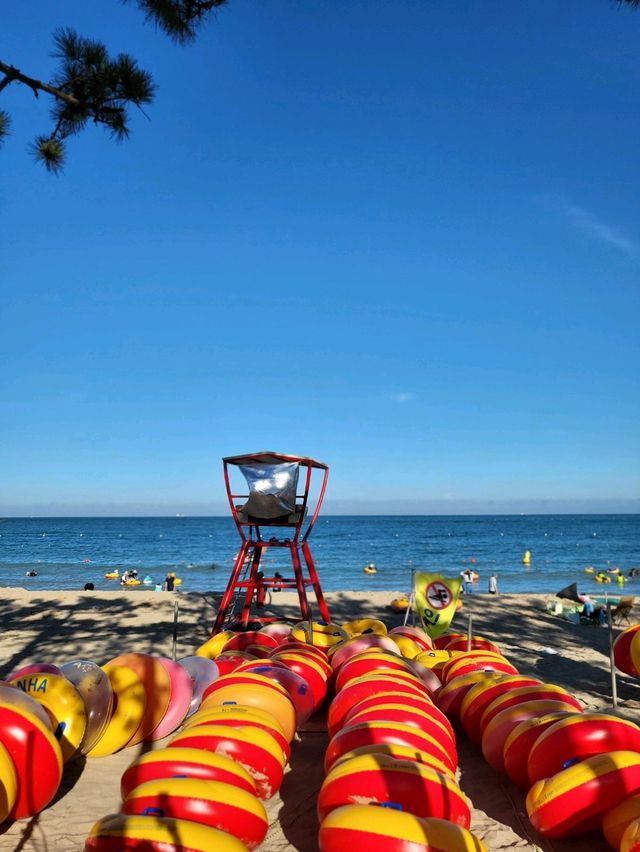 여름핫플! 울산 진하해수욕장🏖