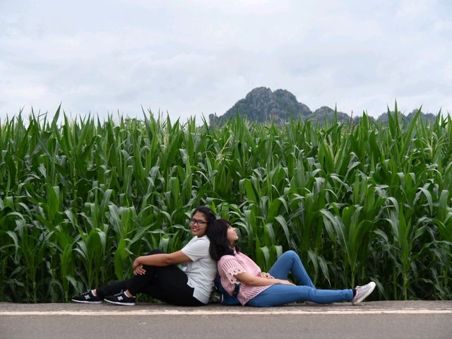เสน่ห์แห่งขุนเขา @•NoenMapranG•