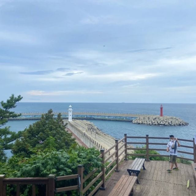 제주 산착하기 좋은 무지개 해안도로와 도두봉 키세스존 💛