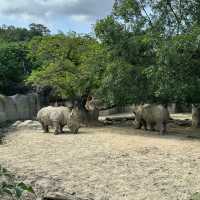 【臺北市立動物園】：樂學給合♡親子探索自然的夢幻之旅