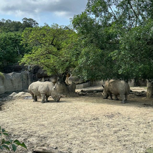 【臺北市立動物園】：樂學給合♡親子探索自然的夢幻之旅