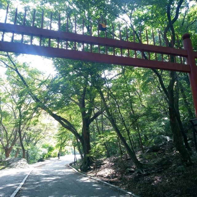 9월초가을 계룡산 국립공원 트래킹이다