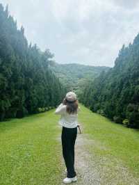 ฟีลมาตาลดามาฮีลใจ น่ารักสดใส ที่ Cypress Lane 💕 