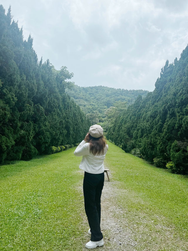 ฟีลมาตาลดามาฮีลใจ น่ารักสดใส ที่ Cypress Lane 💕 