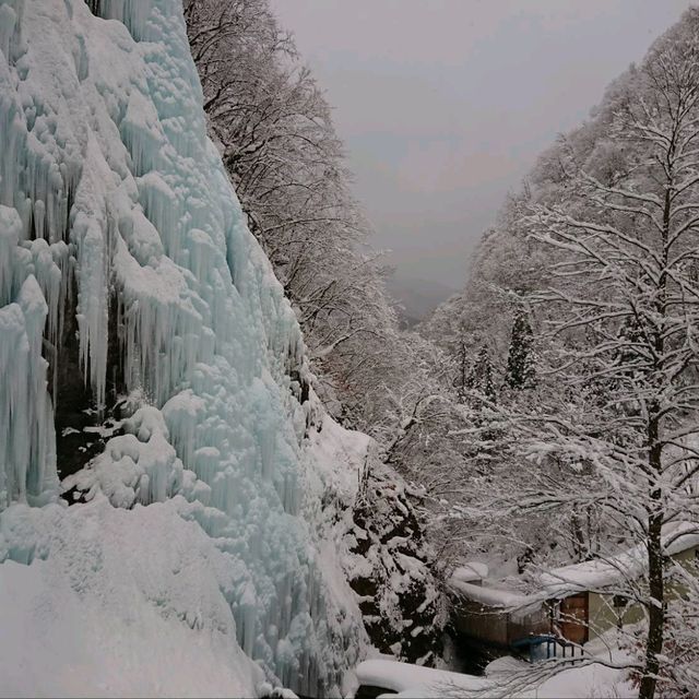 【岐阜】飛騨大鍾乳洞