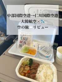 《搭乗記》中部国際空港→仁川国際空港✈️大韓航空🇰🇷空の旅☁️