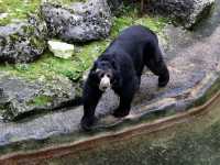 Best wildlife park in Belfast worth visiting 