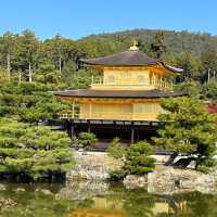 Kinkaku-ji Temple - Golden Pavillion 