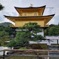 The Golden Kinkaku Ji in Kyoto