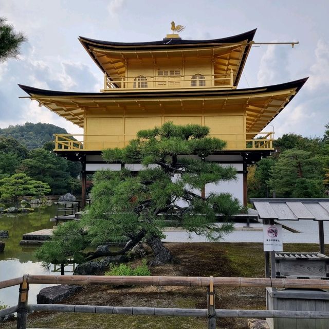 The Golden Kinkaku Ji in Kyoto