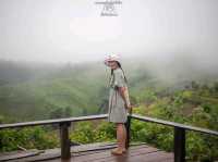 ปล่อยใจไปน่าน@บ้านภูแววิว Phuvae View Home