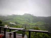 ปล่อยใจไปน่าน@บ้านภูแววิว Phuvae View Home