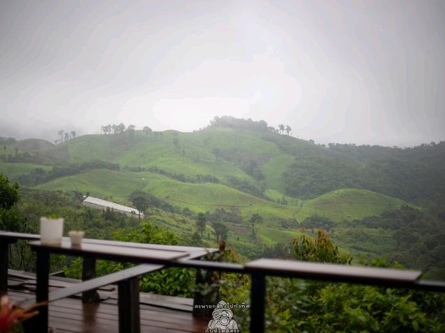 ปล่อยใจไปน่าน@บ้านภูแววิว Phuvae View Home