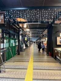 เมืองEchigoYuzawa 