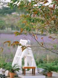Bliss & Bloom Cafe ทับลาน