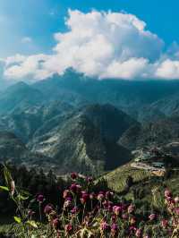 Vietnam Sapa Serenity: A Tapestry of Nature