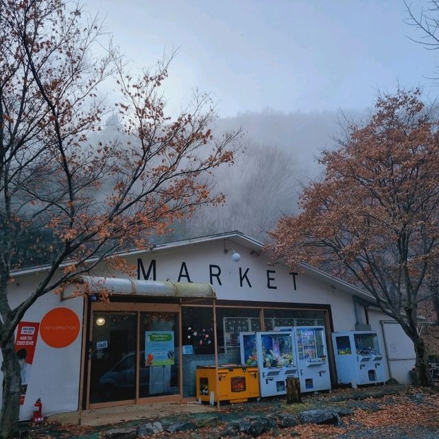 감성 터지는 카라반에서 맞이하는 고요한 아침🏕