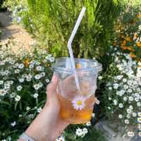 LAGOM Coffee & Bakery