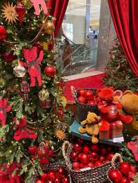 더현대대구의 겨울🎄포토존