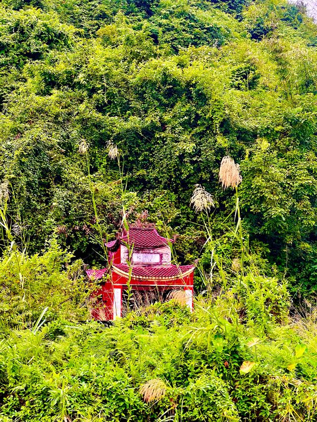 INSTA-WORTHY: Trang An 🛶 Trip In Ninh Binh 🇻🇳