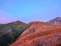 ภูหัวโล้น ⛰️ 🚩 ประเทศลาว 🇱🇦