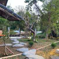 Taan Forest Chiangrai ค่าเฟ่สไตล์ยุโรปผสมผสานสไตล์