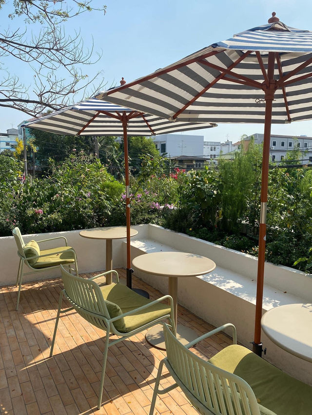 Summer Rain Cafe & Restaurant 🍵🍵
