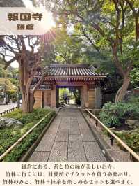 【神奈川】京都じゃないよ！心安らぐ竹の庭🎋