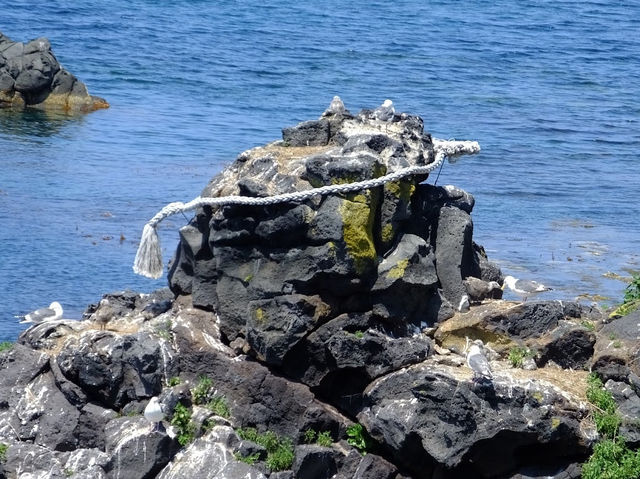 Face on Rocks in Hokkaido