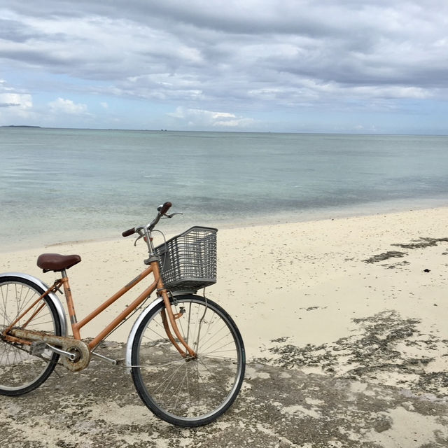 🇯🇵일본의 낭만있는 섬 : 이시가키 + 다케토미 🏝️