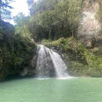 Beautiful nature of Kawasan falls 