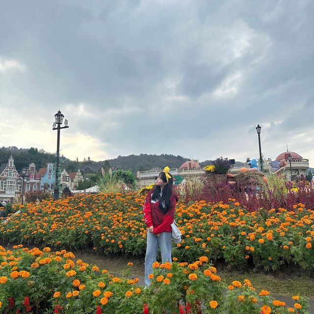 동심 가득한 환상의 나라 용인 "에버랜드"🎡🎠