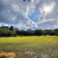 Bios hill