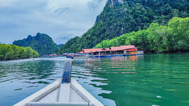 Langkawi Mangrove Tour
