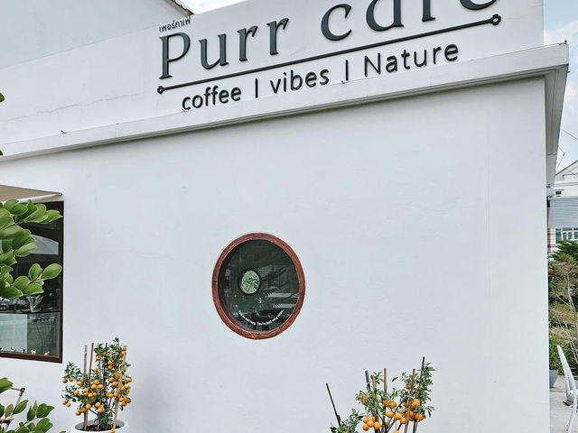 Purrcafebkk แจ้งวัฒนะ 14