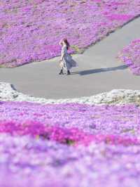 【北海道】一面ピンクの山！東藻琴芝桜公園